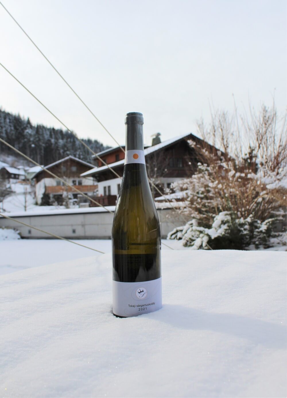 A bottle of Tokaj wine as a gift from SissiPark.
